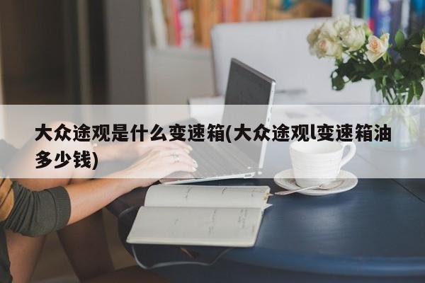 大众途观是什么变速箱(大众途观l变速箱油多少钱)