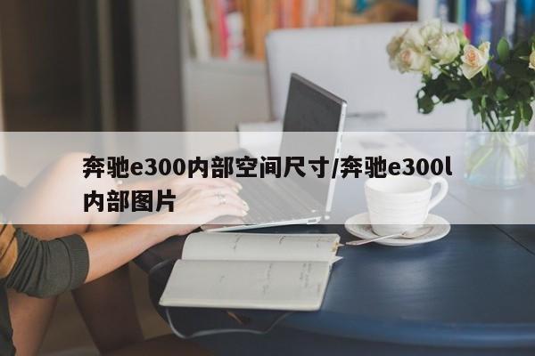 奔驰e300内部空间尺寸/奔驰e300l内部图片